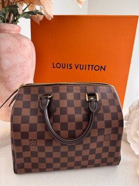 Louis Vuitton Speedy 25 Damier Ebene Top-Handle Satchel